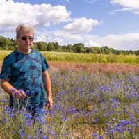 No lauka līdz krūzei. Ieskats bioloģisko tēju saimniecībā 'Kurmīši'