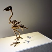 Mākslas projekts: Anatomiski precīzi skeletiņi no koka