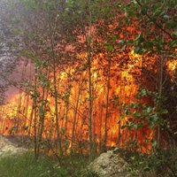 В Валдгалской волости продолжается тление торфа и горение открытым пламенем