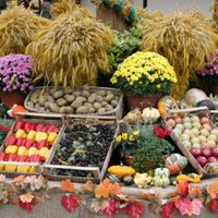 VID Zemnieku tirgū Rīgā konfiscējis 700 kilogramus importa augļu, ogu un dārzeņu