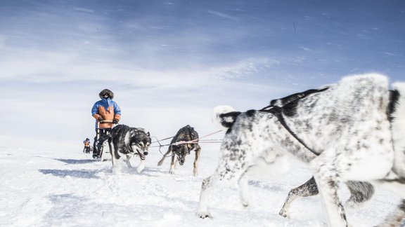 Fjällräven Polar, ekspedīcija, pajūks, sniegs, ziema, haskiji