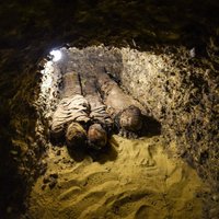 ФОТО: В Египте нашли древнюю гробницу с 50 мумиями
