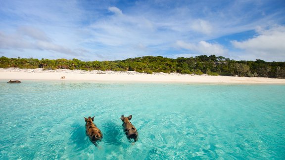 Exuma, Bahamas, pludmale