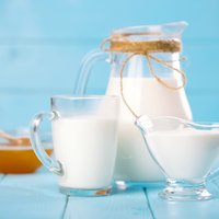 Переработчикам молока удалось заменить Россию другими рынками экспорта