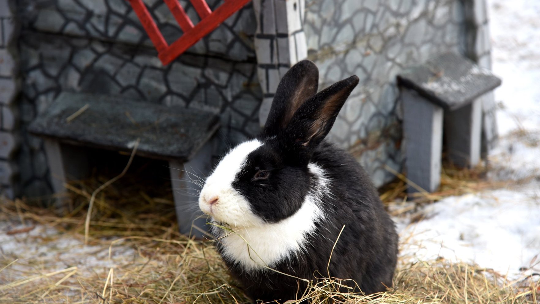Trešdiena būs mākoņaina, gaidāmi arī nokrišņi