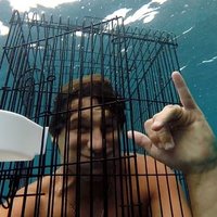 Австралиец отбивался от акулы клеткой для птиц