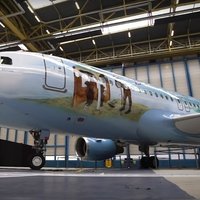 Lidojošais muzejs: 'Brussels Airlines' izgrezno lidmašīnu ar Brēgela gleznām