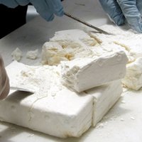 Бельгия: албано-латвийская наркогруппировка провезла через порты кокаин на миллионы долларов