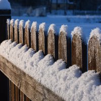 Во вторник в Латвии пойдет снег, толщина покрова достигнет нескольких сантиметров