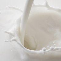 Латвийская молочная отрасль приблизилась к тотальному кризису