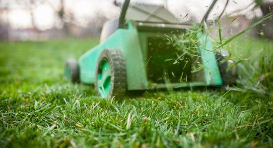 Ar regulāru pļaušanu vien nepietiek: četri zelta likumi skaistam zālienam