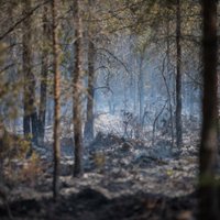 Valdgales pagasta ugunsgrēks: Baltkrievijas helikopters dzēšanai vairs nav nepieciešams