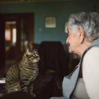 Mīts vai patiesība: kaķi atpazīst saimnieka balsi