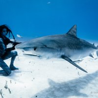 Pirmā sieviete zem ūdens dejo ar haizivīm