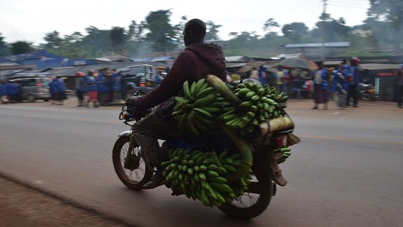 Āfrika, Uganda - 24