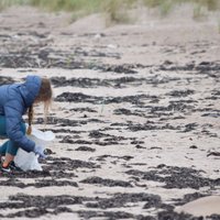 Noiet visu Latvijas jūras piekrasti. Ceļā pošas Zaļā ekspedīcija