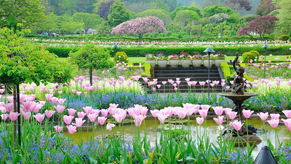 Butčarta dārzs Kanādā, Butčarta dārzs, Butchart gardens