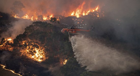 Kā Austrālijas savvaļas ugunsgrēki piesaistīja dezinformatorus