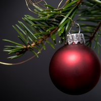 Latvija pērn eksportējusi 18,2 tūkstošus Ziemassvētku eglīšu