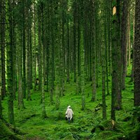 Viena dzīves sista jaunieša sociālajai rehabilitācijai meža vidū tērē 7000 eiro mēnesī