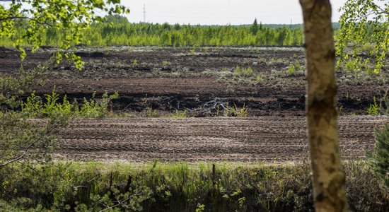 'Florabalt' saražotās produkcijas apjoms pērn palielinājies par trešdaļu