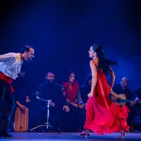 'Lielajā dzintarā' būs skatāms ugunīgs andalūziešu flamenko