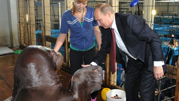 Vladimir Putin