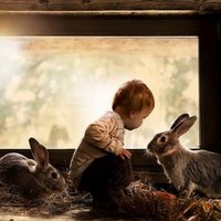 Foto: Mamma – fotogrāfe iemūžina bērnus un dzīvniekus harmoniski pasakainā lauku vidē