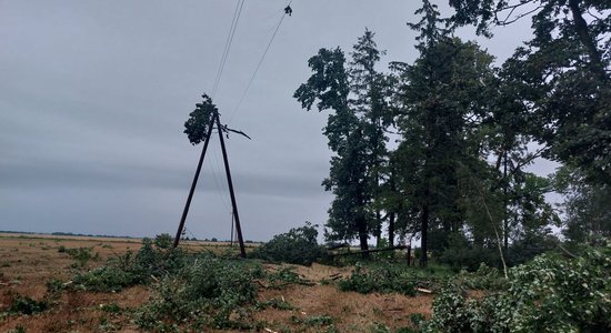 Foto: 'Sadales tīkls' pēc vētras novērš vairāk nekā 1400 elektrotīklu bojājumu