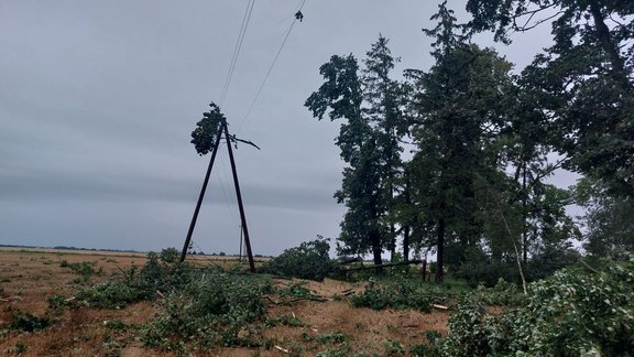 ‘Sadales tīkls’ novērsis rekordlielu elektrotīkla bojājumu skaitu - 16