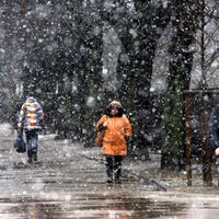 Pirmdien Latvijā gaidāma spēcīga snigšana, brīdina sinoptiķi