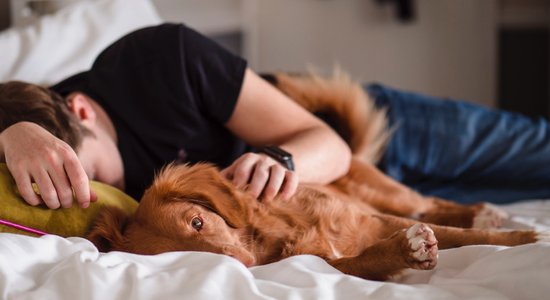 Cik veselīgi ir nedaudz nosnausties? Ko liecina līdzšinējie pētījumi