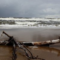 Visstiprākās brāzmas fiksētas Ventspilī un Rīgā; austrumu rajonos – slapjš sniegs