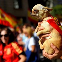 Foto: Spānijas vienotības atbalstītāji sarīko vērienīgu demonstrāciju Katalonijas sirdī