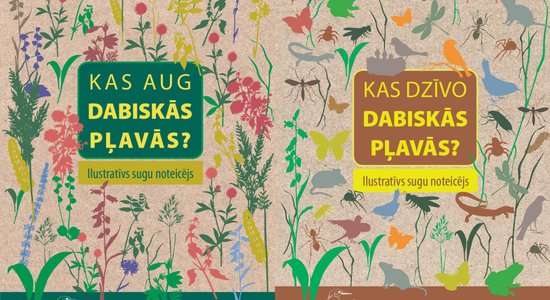 Kā izskatās asais jānītis? Jauns dabas ceļvedis palīdz atpazīt Latvijas pļavu augus