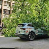 ФОТО: В Риге на официальный автомобиль чемпионата мира упало дерево