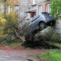 Foto: Iļģuciemā 'Honda' nogāzusi koku un atspiedusies pret ēkas sienu