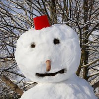Учёный: через 40 лет в Латвии не будет зим