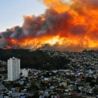 Foto: Dramatiski mežu ugunsgrēki ienāk Čīles lielpilsētā