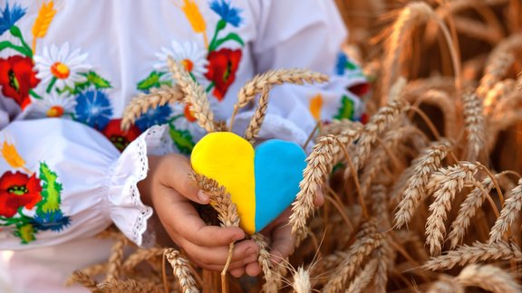 Ukraina, nacionālais tērps, sirds karoga krāsās