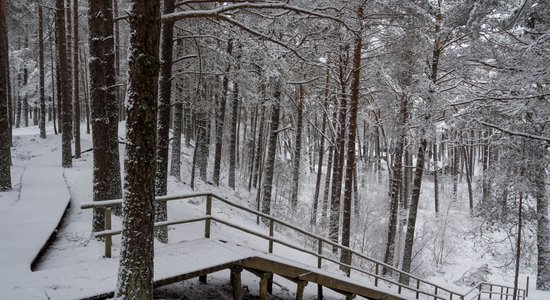 Foto: Vieta, kur gūt ziemas pasakas atmosfēru – Ragakāpas dabas parks Jūrmalā