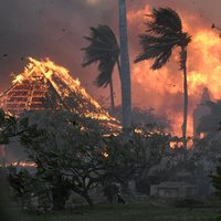 Крупные пожары на Гавайских островах: сгорел исторический город