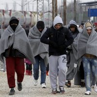 В страны Балтии перемещено 513 ищущих убежища из запланированных 1481