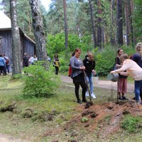 Foto: Amerikas latviešu jaunieši iestāda bērzu aleju Latvijas simtgadei