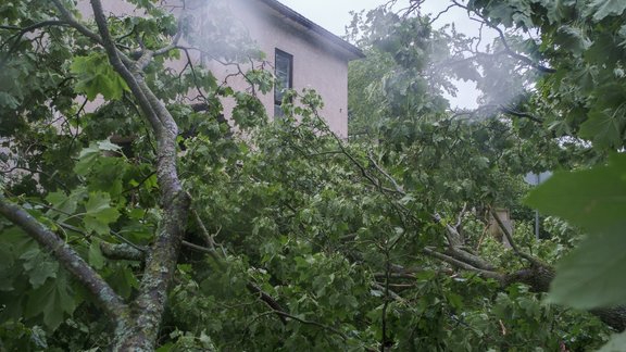 Vētras postījumi Pārdaugavā