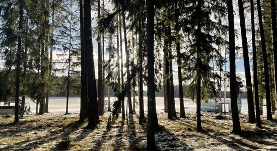 Zaļā kursa izaicinājumi meža nozarei – kā to saglabāt 'ilgtspējīgu'