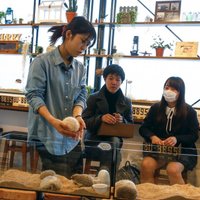 ФОТО: В Японии открылось кафе с ежиками