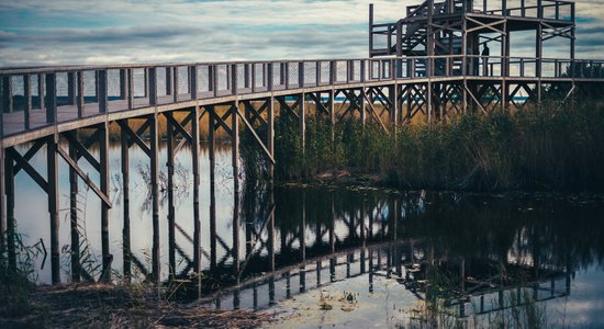 ФОТО. Пешеходная тропа в Пярну, которая никого не оставит равнодушным