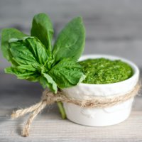 Pavasarīga pesto mērce no spinātiem un bazilika