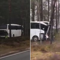 Video: Lapmežciemā autobuss ietriecas kokos; divi cietušie